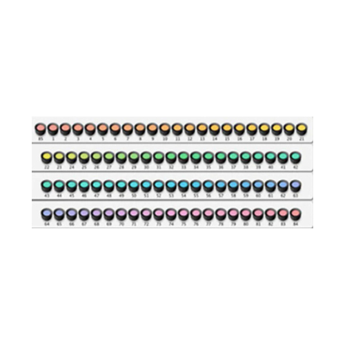 100 Hue Farnsworth Test